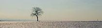 Schneelandschaft mit Baum [Photocase]